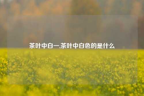 茶叶中白一,茶叶中白色的是什么-第1张图片-茶世界