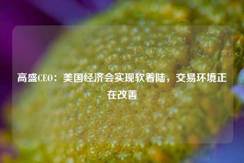 高盛CEO：美国经济会实现软着陆，交易环境正在改善-第1张图片-茶世界