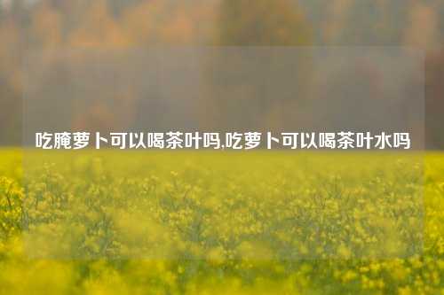 吃腌萝卜可以喝茶叶吗,吃萝卜可以喝茶叶水吗-第1张图片-茶世界