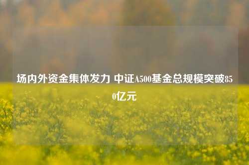 场内外资金集体发力 中证A500基金总规模突破850亿元-第1张图片-茶世界