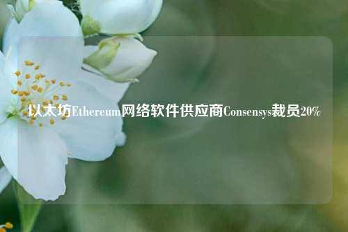 以太坊Ethereum网络软件供应商Consensys裁员20%-第1张图片-茶世界