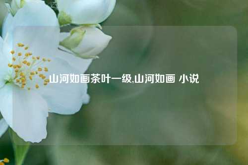 山河如画茶叶一级,山河如画 小说-第1张图片-茶世界