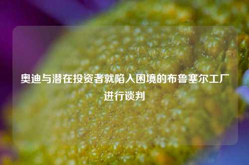 奥迪与潜在投资者就陷入困境的布鲁塞尔工厂进行谈判-第1张图片-茶世界