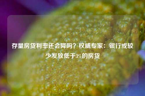 存量房贷利率还会降吗？权威专家：银行或较少发放低于3%的房贷-第1张图片-茶世界