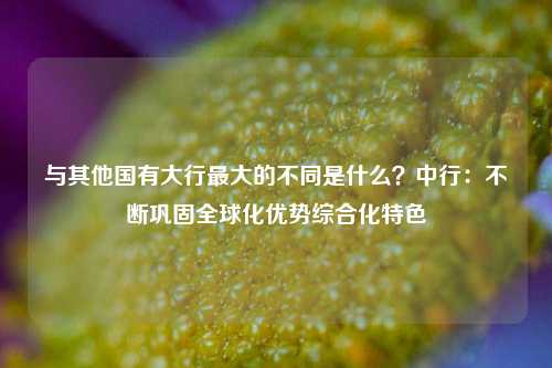 与其他国有大行最大的不同是什么？中行：不断巩固全球化优势综合化特色-第1张图片-茶世界