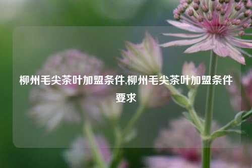 柳州毛尖茶叶加盟条件,柳州毛尖茶叶加盟条件要求-第1张图片-茶世界