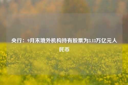 央行：9月末境外机构持有股票为3.13万亿元人民币-第1张图片-茶世界