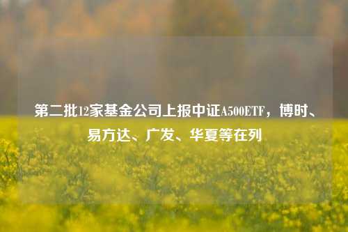 第二批12家基金公司上报中证A500ETF，博时、易方达、广发、华夏等在列-第1张图片-茶世界