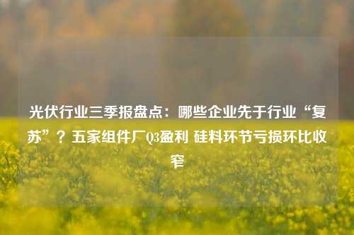 光伏行业三季报盘点：哪些企业先于行业“复苏”？五家组件厂Q3盈利 硅料环节亏损环比收窄-第1张图片-茶世界