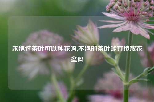 未泡过茶叶可以种花吗,不泡的茶叶能直接放花盆吗-第1张图片-茶世界