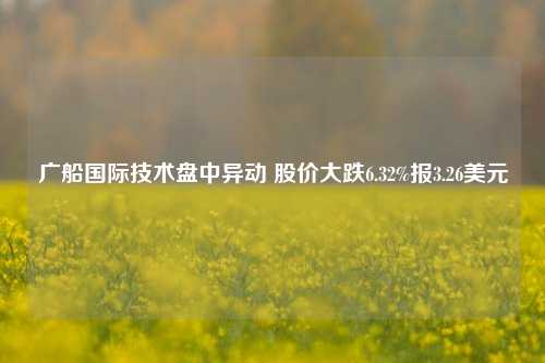 广船国际技术盘中异动 股价大跌6.32%报3.26美元-第1张图片-茶世界