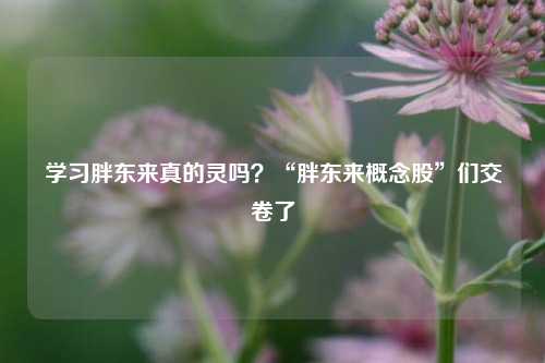 学习胖东来真的灵吗？“胖东来概念股”们交卷了-第1张图片-茶世界