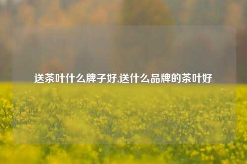 送茶叶什么牌子好,送什么品牌的茶叶好-第1张图片-茶世界