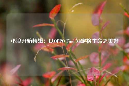 小浪开箱特辑：以OPPO Find X8定格生命之美好-第1张图片-茶世界