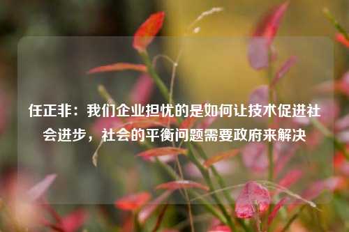 任正非：我们企业担忧的是如何让技术促进社会进步，社会的平衡问题需要政府来解决-第1张图片-茶世界