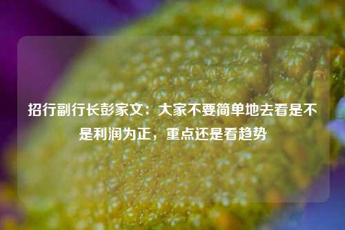 招行副行长彭家文：大家不要简单地去看是不是利润为正，重点还是看趋势-第1张图片-茶世界