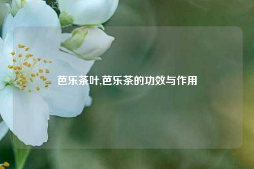 芭乐茶叶,芭乐茶的功效与作用-第1张图片-茶世界