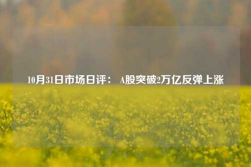 10月31日市场日评： A股突破2万亿反弹上涨-第1张图片-茶世界