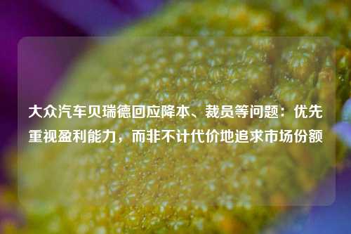 大众汽车贝瑞德回应降本、裁员等问题：优先重视盈利能力，而非不计代价地追求市场份额-第1张图片-茶世界