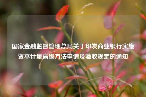 国家金融监督管理总局关于印发商业银行实施资本计量高级方法申请及验收规定的通知-第1张图片-茶世界