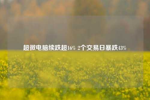 超微电脑续跌超16% 2个交易日暴跌43%-第1张图片-茶世界