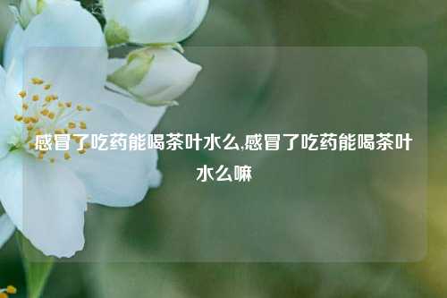 感冒了吃药能喝茶叶水么,感冒了吃药能喝茶叶水么嘛-第1张图片-茶世界