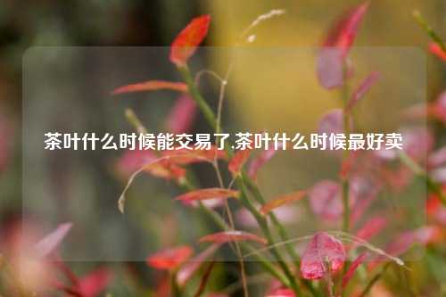 茶叶什么时候能交易了,茶叶什么时候最好卖-第1张图片-茶世界