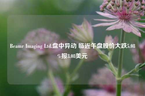 Beamr Imaging Ltd.盘中异动 临近午盘股价大跌5.08%报3.08美元-第1张图片-茶世界