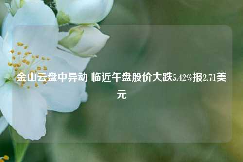 金山云盘中异动 临近午盘股价大跌5.42%报2.71美元-第1张图片-茶世界