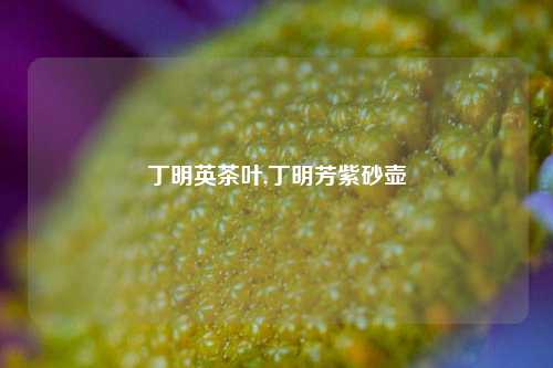 丁明英茶叶,丁明芳紫砂壶-第1张图片-茶世界