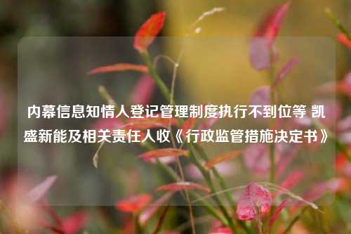 内幕信息知情人登记管理制度执行不到位等 凯盛新能及相关责任人收《行政监管措施决定书》-第1张图片-茶世界