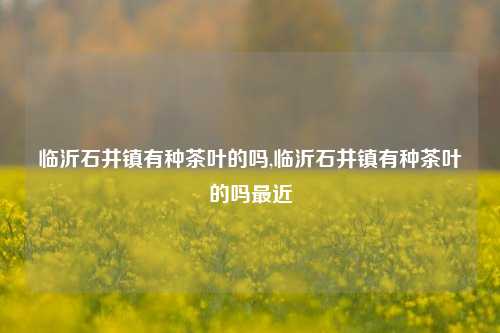 临沂石井镇有种茶叶的吗,临沂石井镇有种茶叶的吗最近-第1张图片-茶世界