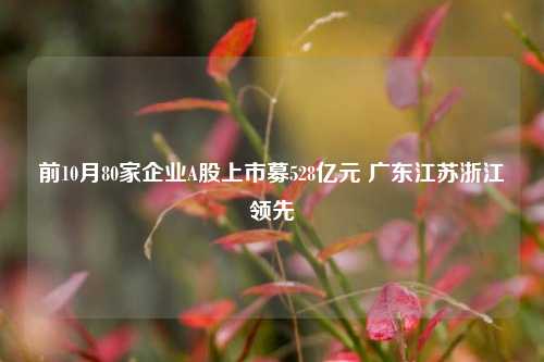 前10月80家企业A股上市募528亿元 广东江苏浙江领先-第1张图片-茶世界