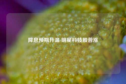 降息预期升温 明星科技股普涨-第1张图片-茶世界