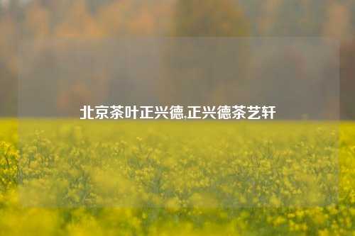 北京茶叶正兴德,正兴德茶艺轩-第1张图片-茶世界