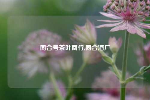 同合号茶叶商行,同合酒厂-第1张图片-茶世界