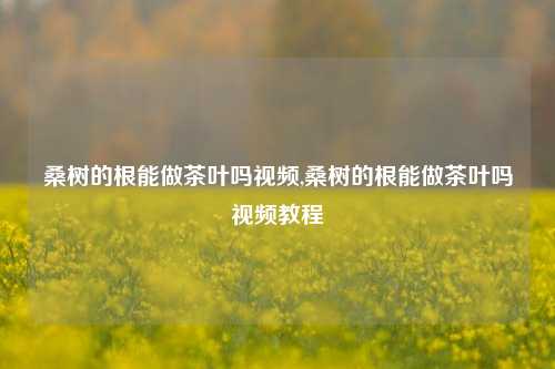 桑树的根能做茶叶吗视频,桑树的根能做茶叶吗视频教程-第1张图片-茶世界