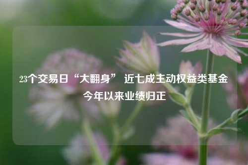 23个交易日“大翻身” 近七成主动权益类基金今年以来业绩归正-第1张图片-茶世界