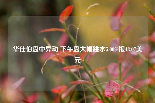 华仕伯盘中异动 下午盘大幅跳水5.00%报48.07美元-第1张图片-茶世界