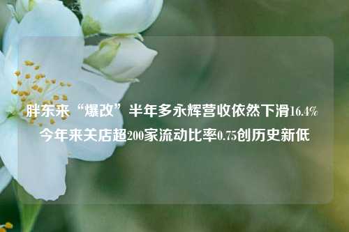 胖东来“爆改”半年多永辉营收依然下滑16.4% 今年来关店超200家流动比率0.75创历史新低-第1张图片-茶世界