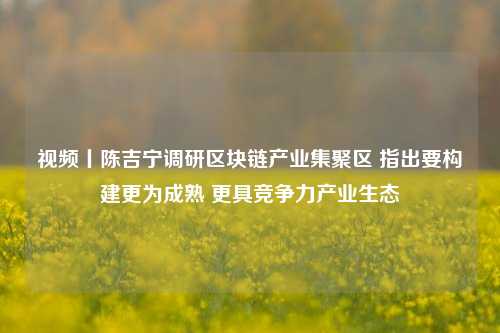 视频丨陈吉宁调研区块链产业集聚区 指出要构建更为成熟 更具竞争力产业生态-第1张图片-茶世界