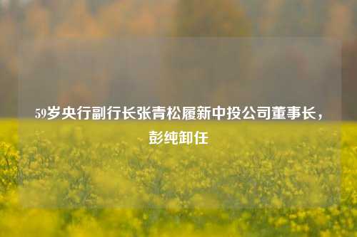 59岁央行副行长张青松履新中投公司董事长，彭纯卸任-第1张图片-茶世界