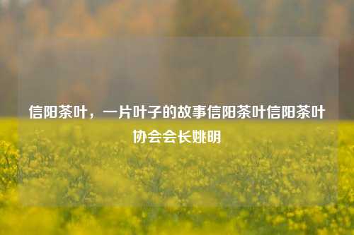 信阳茶叶，一片叶子的故事信阳茶叶信阳茶叶协会会长姚明-第1张图片-茶世界