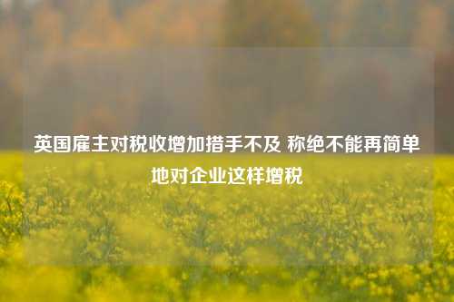 英国雇主对税收增加措手不及 称绝不能再简单地对企业这样增税-第1张图片-茶世界