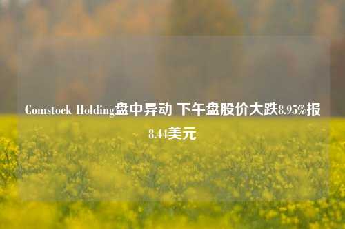 Comstock Holding盘中异动 下午盘股价大跌8.95%报8.44美元-第1张图片-茶世界