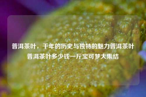 普洱茶叶，千年的历史与独特的魅力普洱茶叶普洱茶叶多少钱一斤宝可梦大集结-第1张图片-茶世界