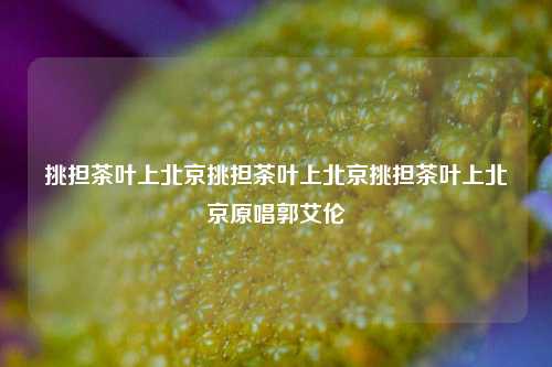 挑担茶叶上北京挑担茶叶上北京挑担茶叶上北京原唱郭艾伦-第1张图片-茶世界