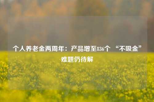 个人养老金两周年：产品增至836个 “不吸金”难题仍待解-第1张图片-茶世界