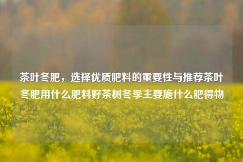 茶叶冬肥，选择优质肥料的重要性与推荐茶叶冬肥用什么肥料好茶树冬季主要施什么肥得物-第1张图片-茶世界