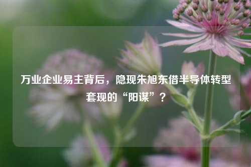 万业企业易主背后，隐现朱旭东借半导体转型套现的“阳谋”？-第1张图片-茶世界